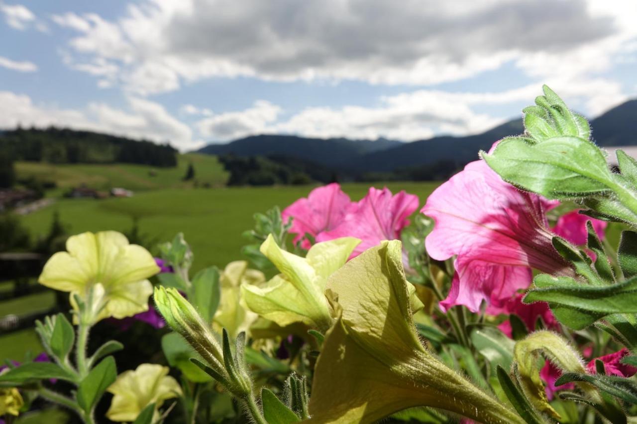 Atelierhaus Ferienwohnungen Fischen im Allgaeu Exteriör bild